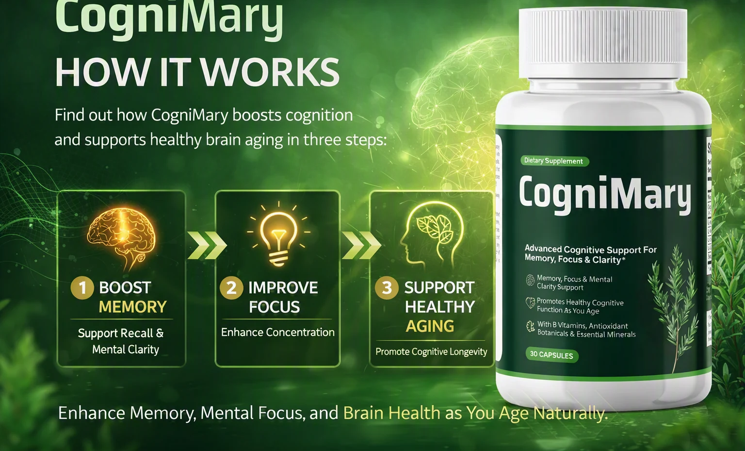 How CogniMary works: boost memory, improve focus, support healthy aging